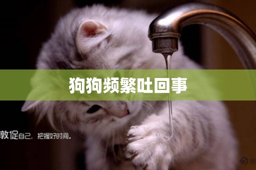 狗狗頻繁吐回事