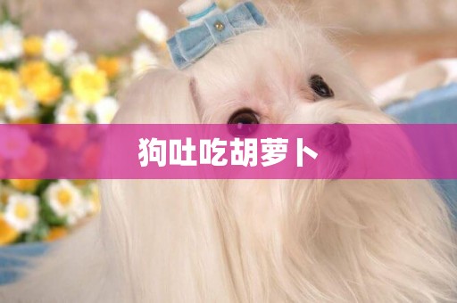 狗吐吃胡蘿卜