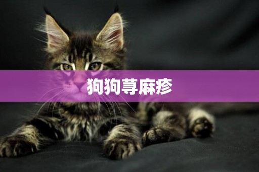狗狗蕁麻疹