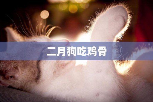 二月狗吃雞骨