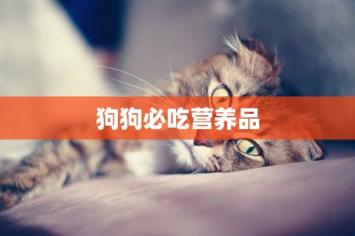 狗狗必吃營養品