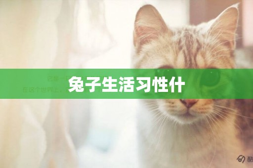 兔子生活習性什