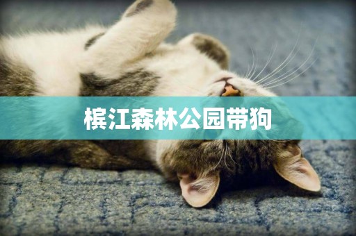 檳江森林公園帶狗