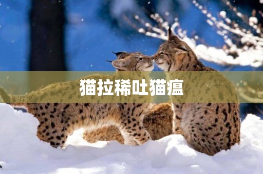 貓拉稀吐貓瘟
