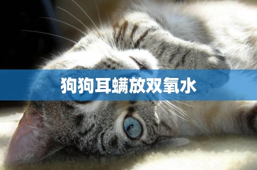 狗狗耳螨放雙氧水