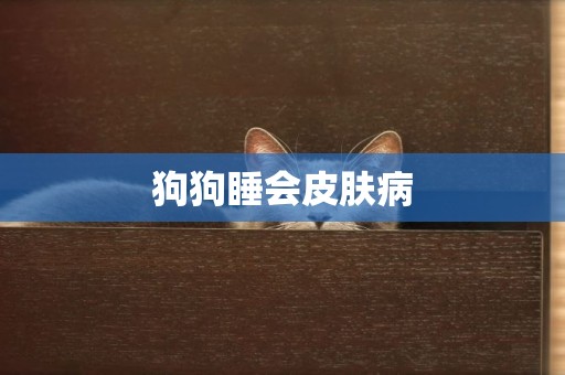 狗狗睡會皮膚病