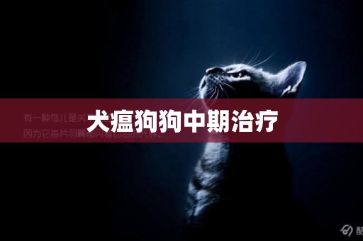 犬瘟狗狗中期治療