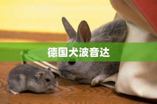 德國犬波音達