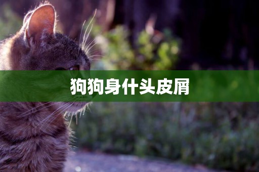 狗狗身什頭皮屑