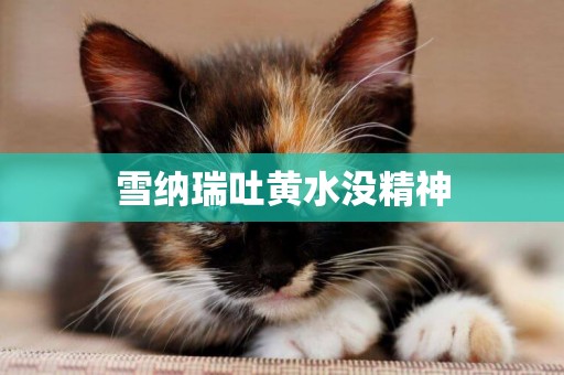 雪納瑞吐黃水沒精神