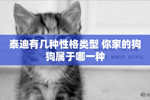 泰迪有幾種性格類型 你家的狗狗屬于哪一種 泰迪有幾種性格類型 你家的狗狗屬于哪一種