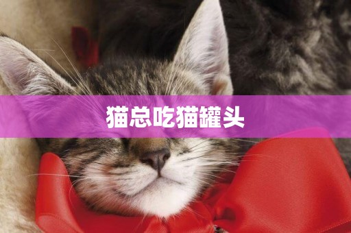貓總吃貓罐頭