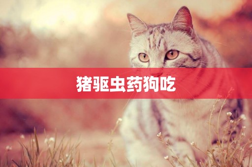 豬驅蟲藥狗吃
