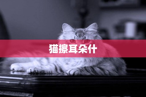 貓擦耳朵什