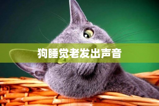 狗睡覺老發出聲音