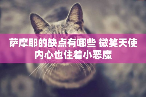 薩摩耶的缺點有哪些 微笑天使內心也住著小惡魔 薩摩耶的缺點有哪些 微笑天使內心也住著小惡魔