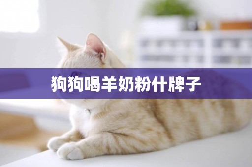 狗狗喝羊奶粉什牌子