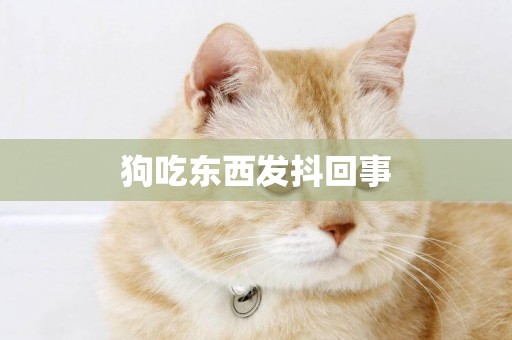 狗吃東西發抖回事
