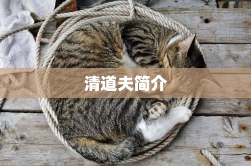 清道夫簡介