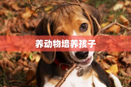 養動物培養孩子
