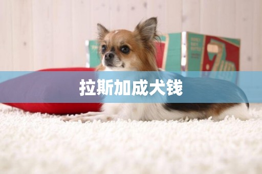 拉斯加成犬錢