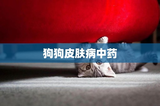 狗狗皮膚病中藥