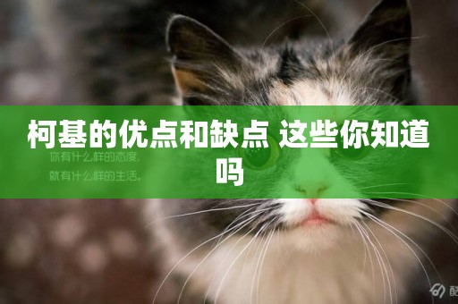 柯基的優點和缺點 這些你知道嗎