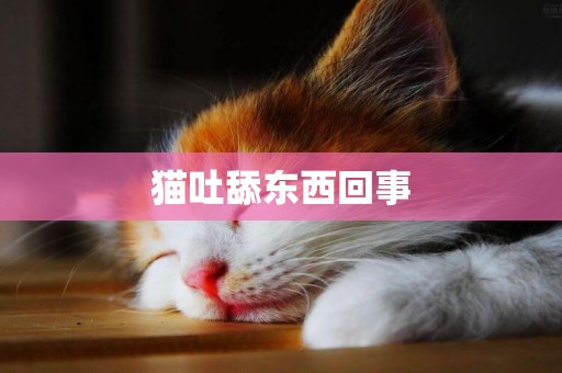 貓吐舔東西回事