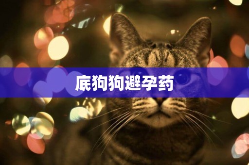 底狗狗避孕藥