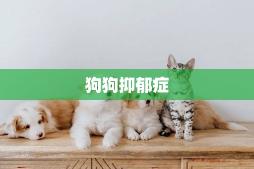 狗狗抑郁癥