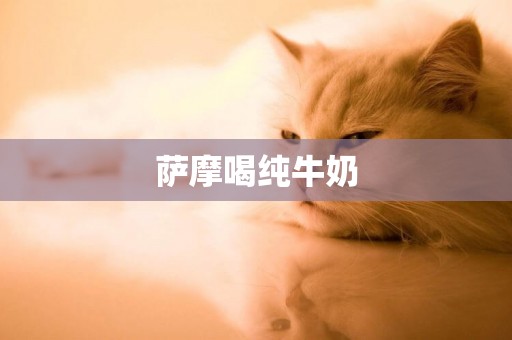 薩摩喝純牛奶