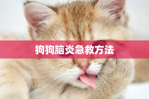 狗狗腦炎急救方法