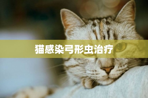貓感染弓形蟲治療