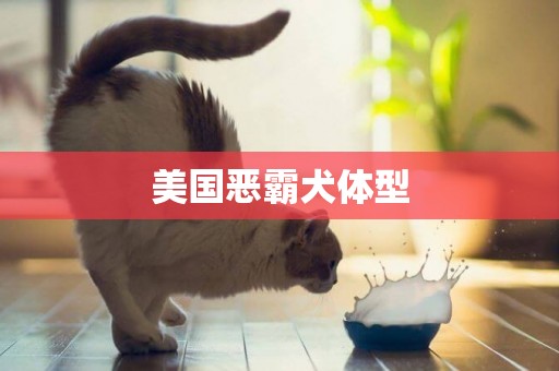 美國惡霸犬體型