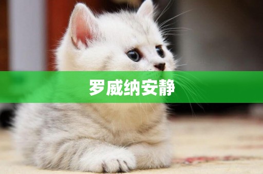 羅威納安靜