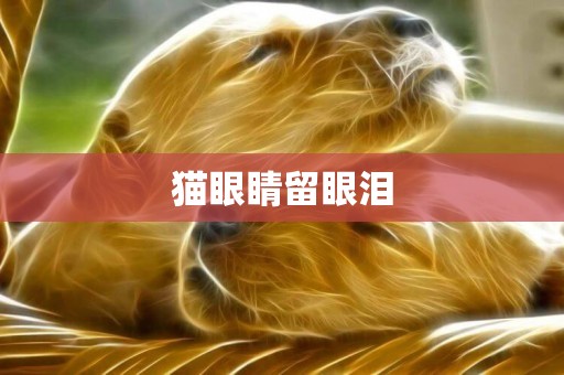 貓眼睛留眼淚