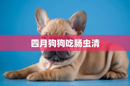 四月狗狗吃腸蟲清