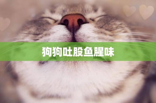 狗狗吐股魚腥味