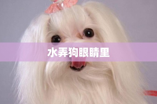 水弄狗眼睛里