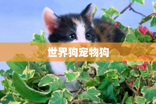 世界狗寵物狗