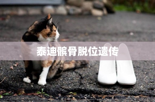 泰迪髕骨脫位遺傳