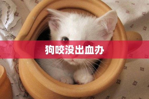 狗咬沒出血辦