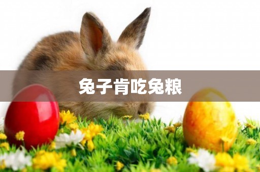 兔子肯吃兔糧