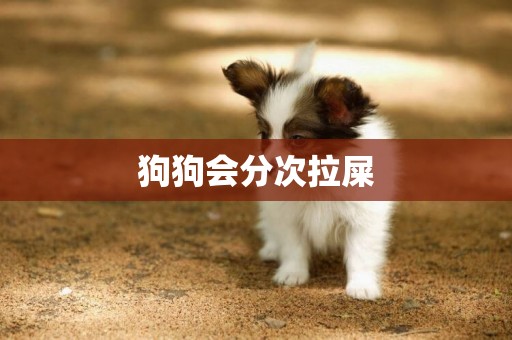 狗狗會分次拉屎