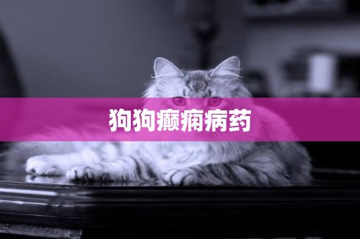 狗狗癲癇病藥
