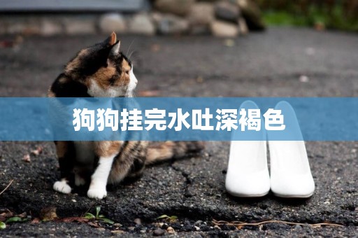 狗狗掛完水吐深褐色