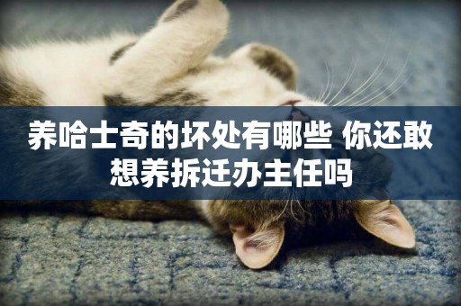 養哈士奇的壞處有哪些 你還敢想養拆遷辦主任嗎