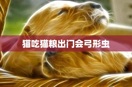 貓吃貓糧出門會弓形蟲