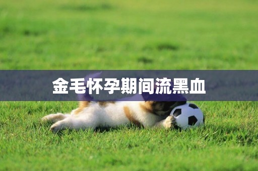金毛懷孕期間流黑血