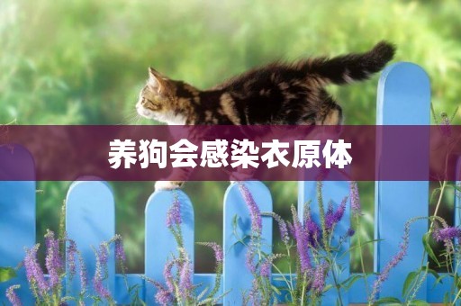養狗會感染衣原體